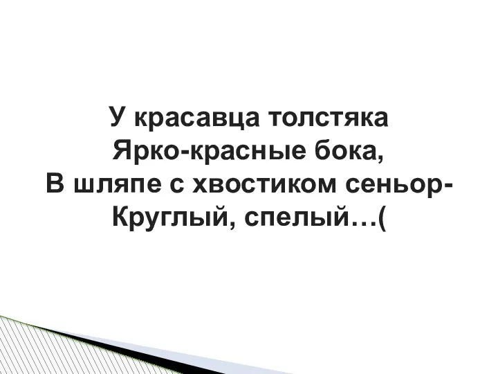 У красавца толстяка Ярко-красные бока, В шляпе с хвостиком сеньор- Круглый, спелый…(