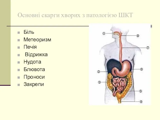 Основні скарги хворих з патологією ШКТ Біль Метеоризм Печія Відрижка Нудота Блювота Проноси Закрепи