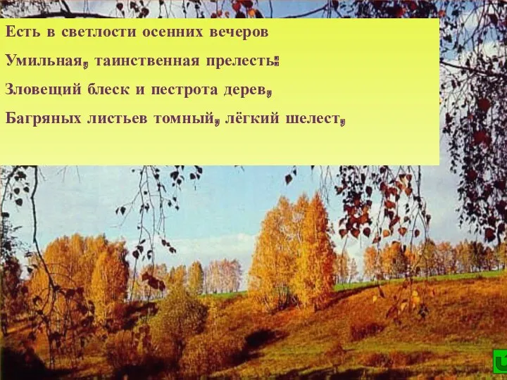 Есть в светлости осенних вечеров Умильная, таинственная прелесть: Зловещий блеск и пестрота дерев,