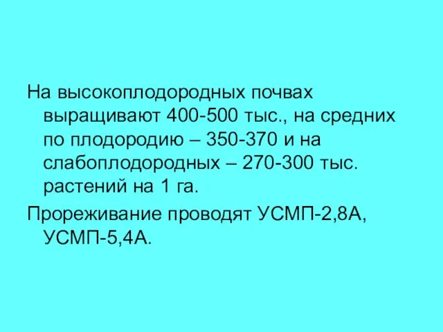 На высокоплодородных почвах выращивают 400-500 тыс., на средних по плодородию