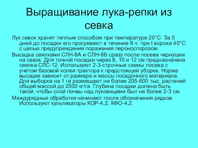 Выращивание лука-репки из севка Лук севок хранят теплым способом при