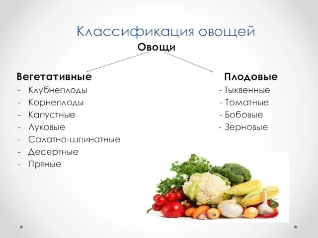 Классификация овощей Овощи Вегетативные Плодовые Клубнеплоды - Тыквенные Корнеплоды - Томатные Капустные -