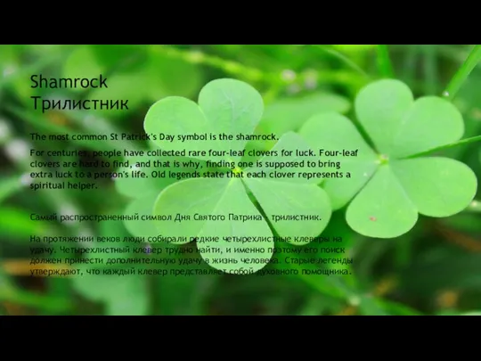 Shamrock Трилистник The most common St Patrick's Day symbol is