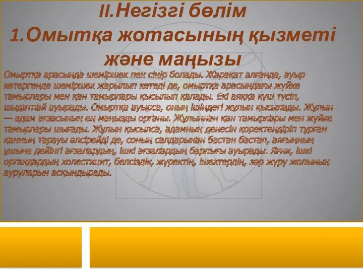 II.Негізгі бөлім 1.Омытқа жотасының қызметі және маңызы Омыртқа арасында шеміршек