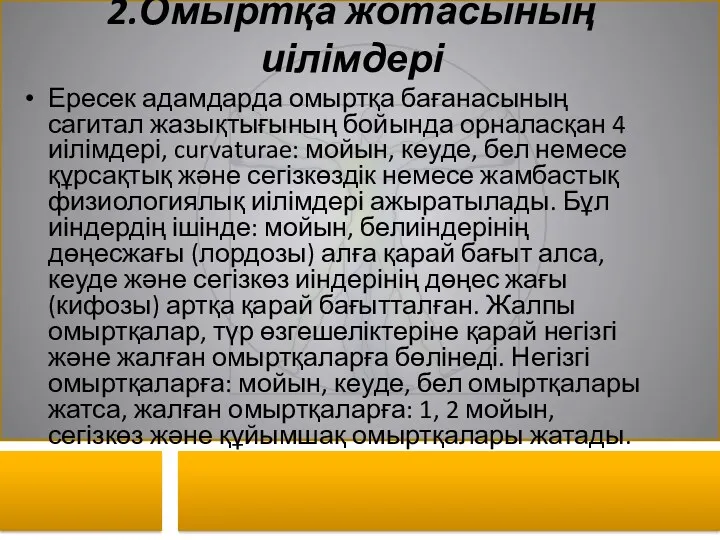 2.Омыртқа жотасының иілімдері Ересек адамдарда омыртқа бағанасының сагитал жазықтығының бойында