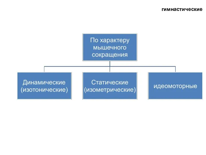 гимнастические