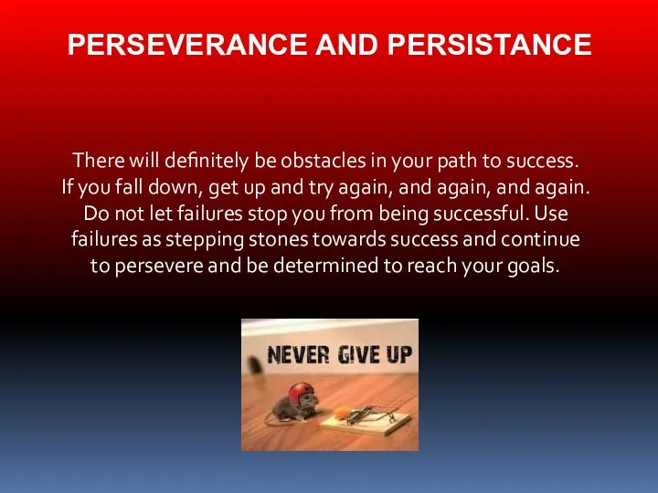 PERSEVERANCE AND PERSISTANCE There will definitely be obstacles in your path to success.