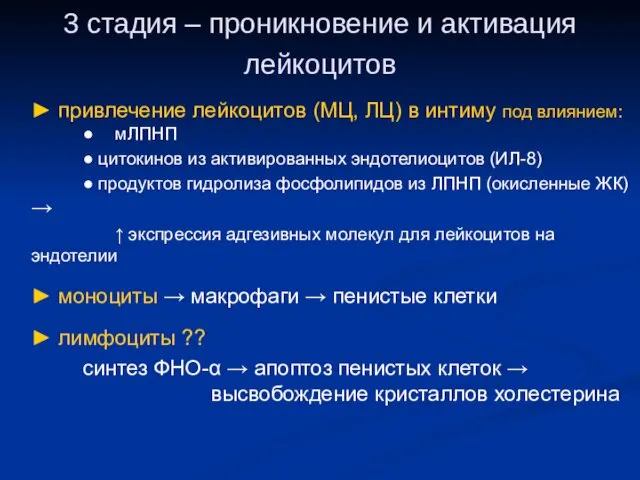 3 стадия – проникновение и активация лейкоцитов ► привлечение лейкоцитов