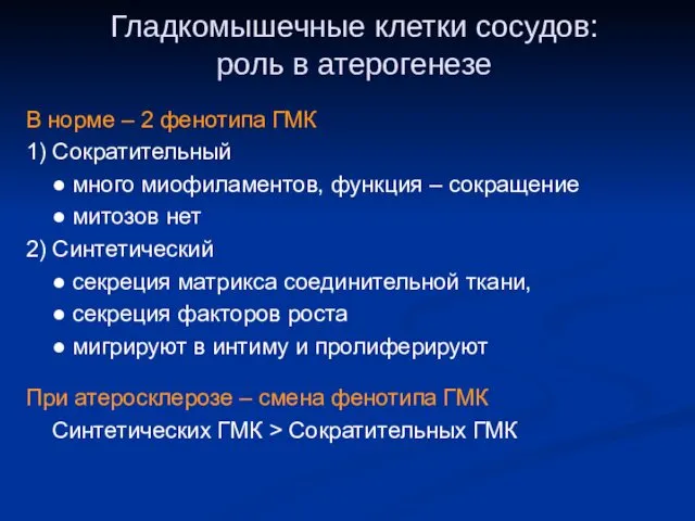 Гладкомышечные клетки сосудов: роль в атерогенезе В норме – 2