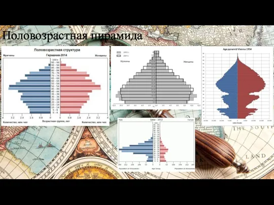 Половозрастная пирамида