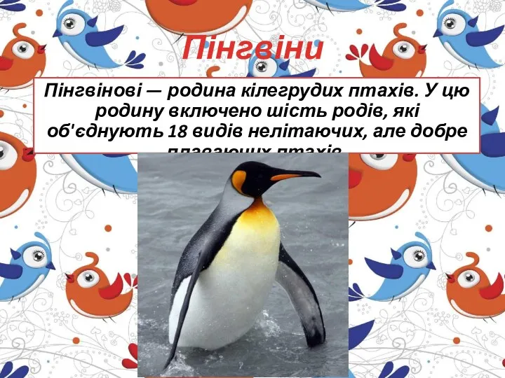 Пінгвіни Пінгвінові — родина кілегрудих птахів. У цю родину включено