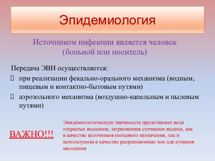 Эпидемиология Передача ЭВИ осуществляется: при реализации фекально-орального механизма (водным, пищевым