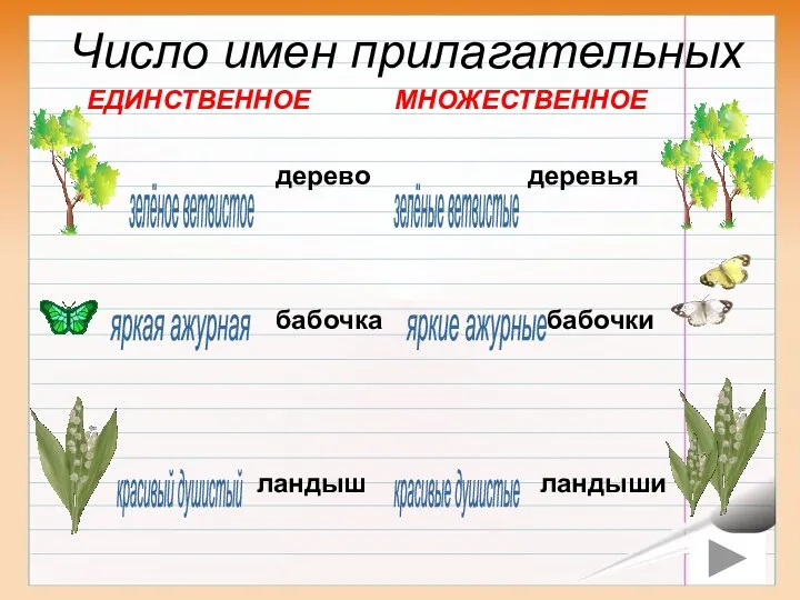 бабочка бабочки яркая ажурная яркие ажурные дерево деревья красивый душистый