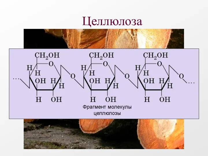 Целлюлоза