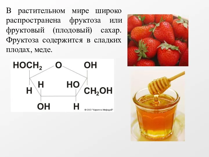 В растительном мире широко распространена фруктоза или фруктовый (плодовый) сахар. Фруктоза содержится в сладких плодах, меде.