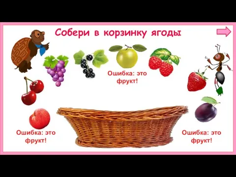 Собери в корзинку ягоды Ошибка: это фрукт! Ошибка: это фрукт! Ошибка: это фрукт!