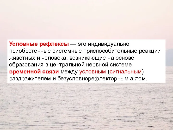 Условные рефлексы — это индивидуально приобретенные системные приспособительные реакции животных