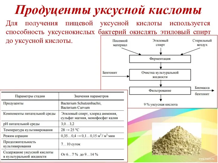 Продуценты уксусной кислоты Для получения пищевой уксусной кислоты используется способность