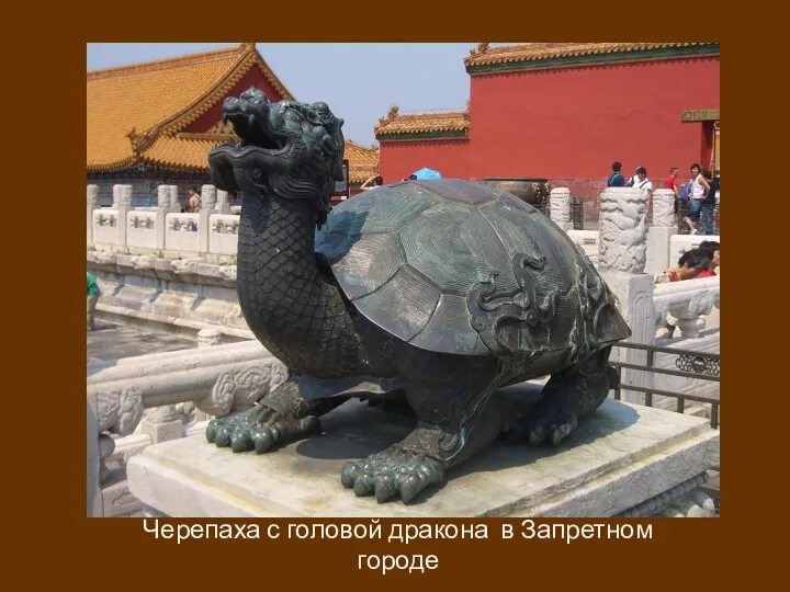 Черепаха с головой дракона в Запретном городе
