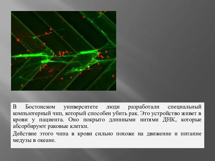 В Бостонском университете люди разработали специальный компьютерный чип, который способен