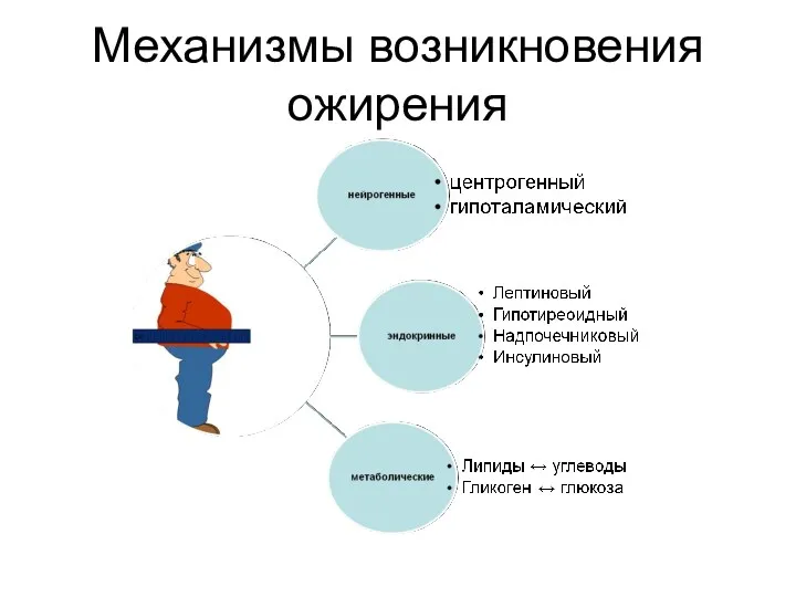 Механизмы возникновения ожирения