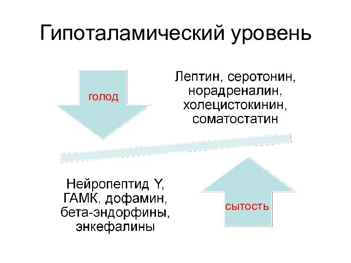 Гипоталамический уровень голод сытость