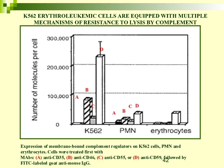 Expression of membrane-bound complement regulators on K562 cells, PMN and