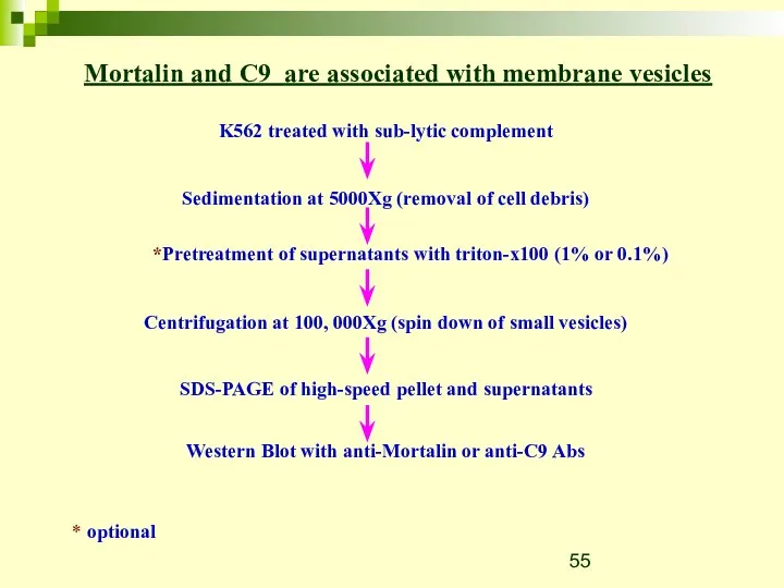 Mortalin and C9 are associated with membrane vesicles K562 treated
