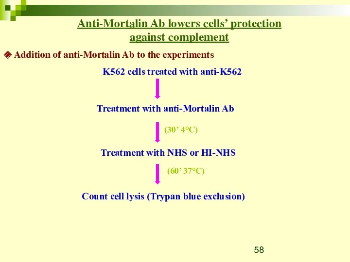 Addition of anti-Mortalin Ab to the experiments Anti-Mortalin Ab lowers