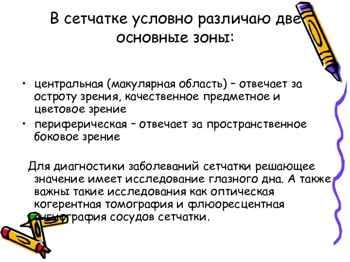 В сетчатке условно различаю две основные зоны: центральная (макулярная область)