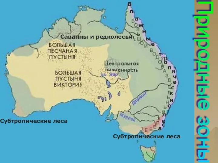 Природные зоны Саванны и редколесья Субтропические леса Субтропические леса В