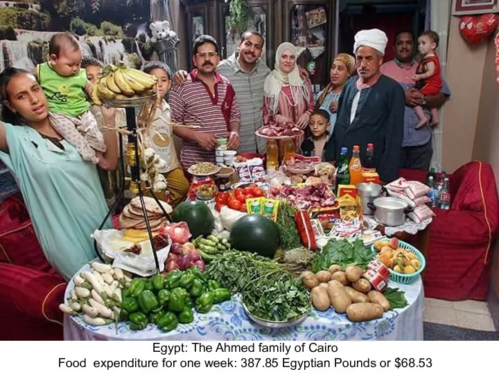 Egypt: The Ahmed family of Cairo Food expenditure for one week: 387.85 Egyptian Pounds or $68.53