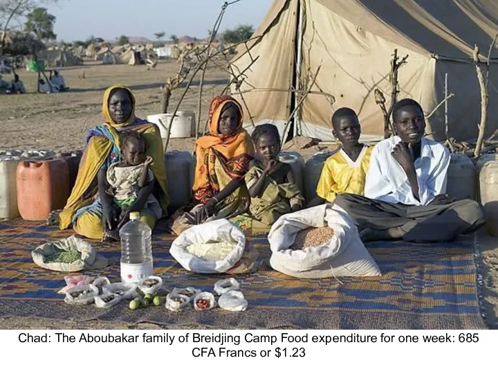 Chad: The Aboubakar family of Breidjing Camp Food expenditure for