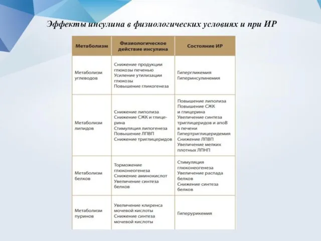 Эффекты инсулина в физиологических условиях и при ИР