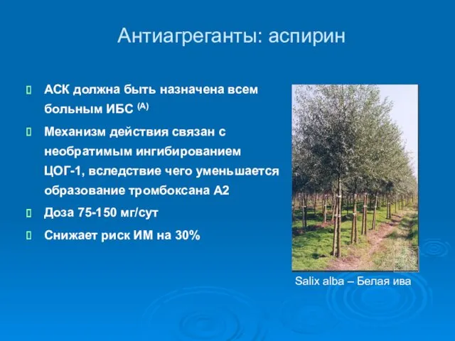 Антиагреганты: аспирин АСК должна быть назначена всем больным ИБС (А)