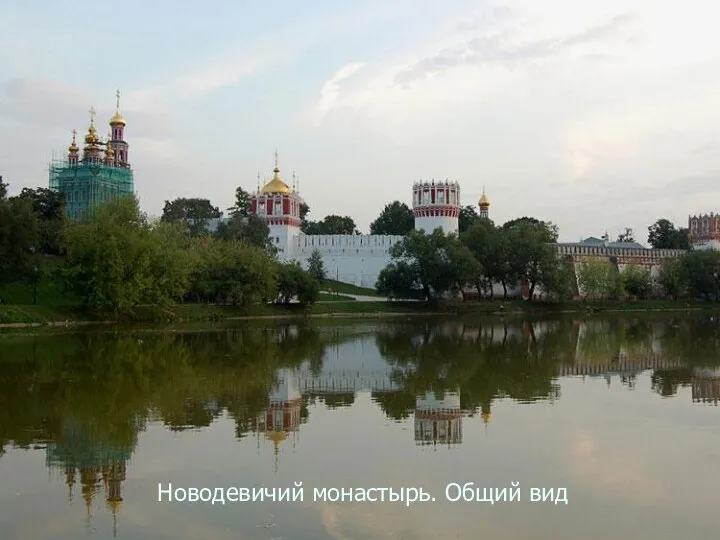 Новодевичий монастырь. Общий вид