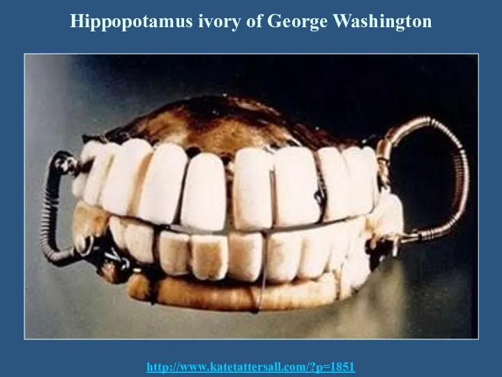 Hippopotamus ivory of George Washington http://www.katetattersall.com/?p=1851
