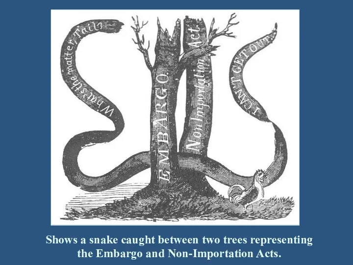 Shows a snake caught between two trees representing the Embargo and Non-Importation Acts.
