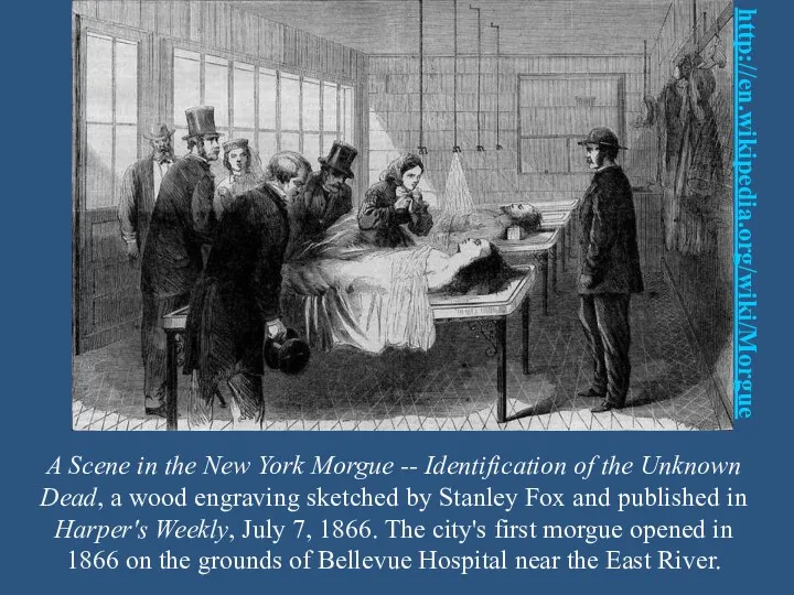 A Scene in the New York Morgue -- Identification of the Unknown Dead,