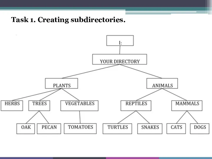 Task 1. Creating subdirectories.