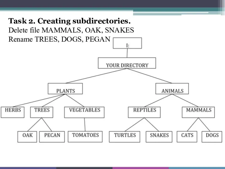 Task 2. Creating subdirectories. Delete file MAMMALS, OAK, SNAKES Rename TREES, DOGS, PEGAN