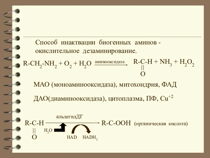 ДАО(диаминооксидаза), цитоплазма, ПФ, Сu+2 МАО (моноаминооксидаза), митохондрия, ФАД R-CH2-NH2 + O2 + H2O