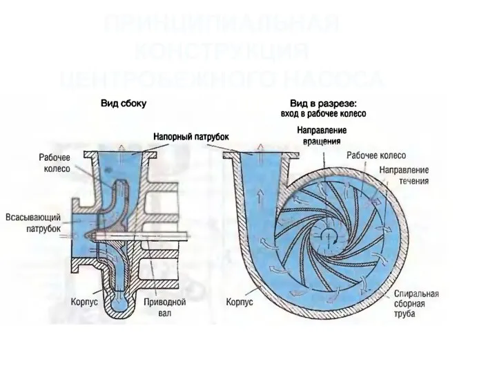ПРИНЦИПИАЛЬНАЯ КОНСТРУКЦИЯ ЦЕНТРОБЕЖНОГО НАСОСА