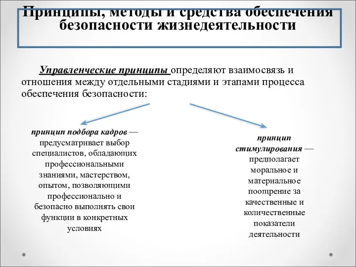 Принципы, методы и средства обеспечения безопасности жизнедеятельности Управленческие принципы определяют