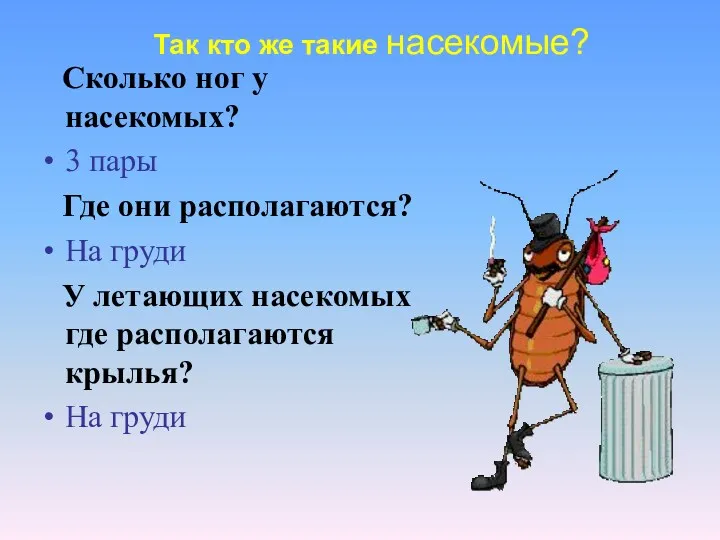 Сколько ног у насекомых? 3 пары Где они располагаются? На