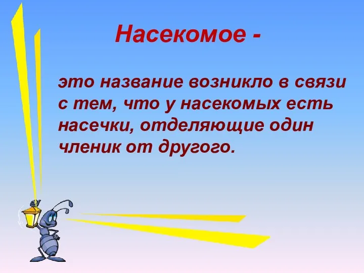 это название возникло в связи с тем, что у насекомых