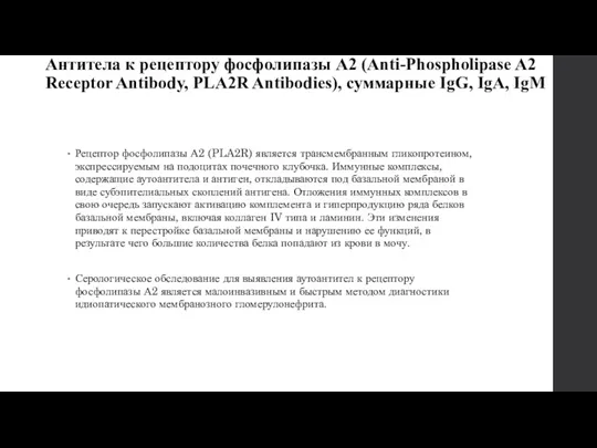 Антитела к рецептору фосфолипазы А2 (Anti-Phospholipase A2 Receptor Antibody, PLA2R