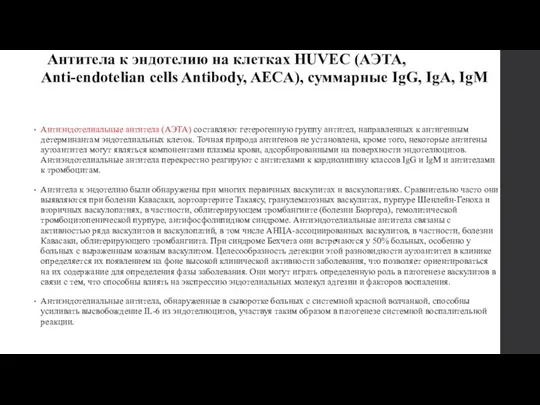 Антитела к эндотелию на клетках HUVEC (АЭТА, Anti-endotelian cells Antibody, AECA), суммарные IgG,