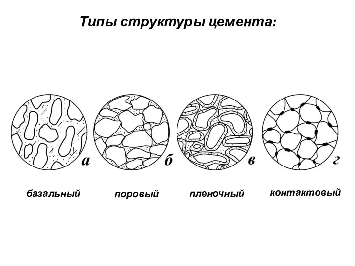 Типы структуры цемента: базальный поровый пленочный контактовый