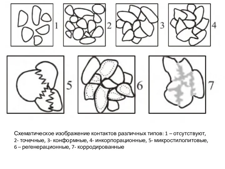 Схематическое изображение контактов различных типов: 1 – отсутствуют, 2- точечные, 3- конформные, 4-